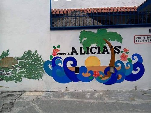 Alicia'S Bed & Breakfast Cozumel Extérieur photo