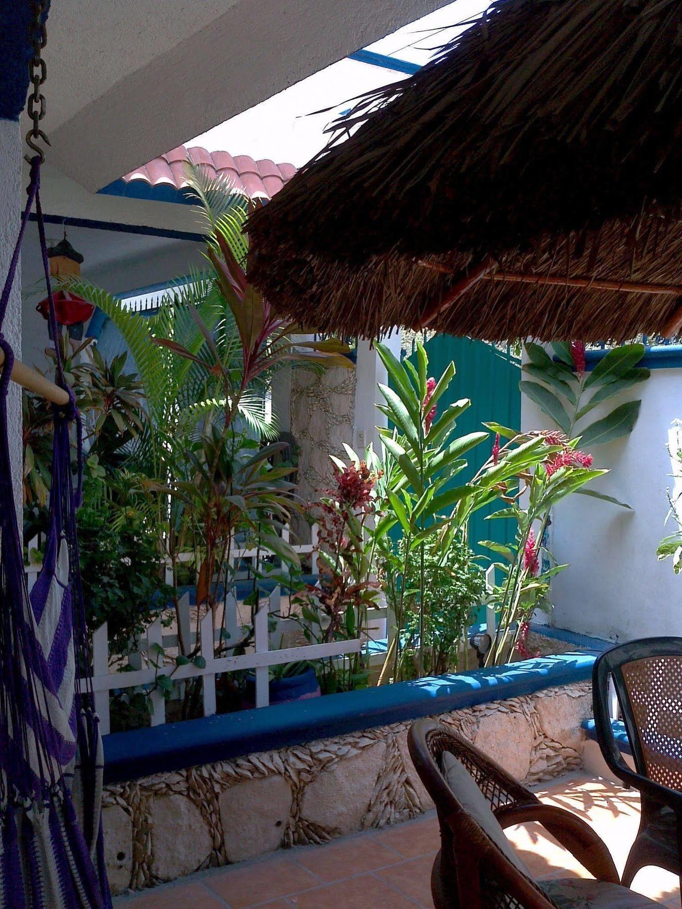 Alicia'S Bed & Breakfast Cozumel Extérieur photo