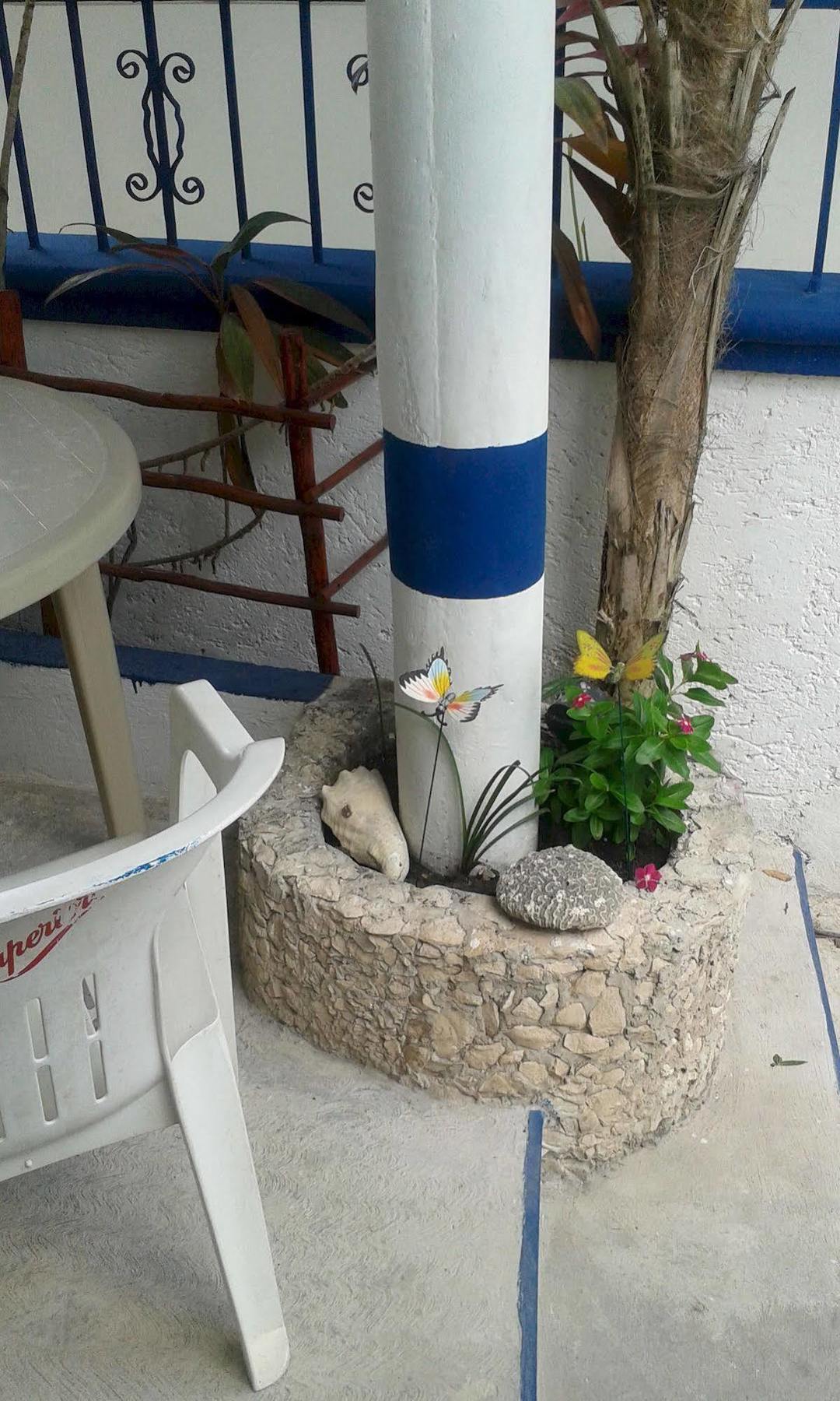 Alicia'S Bed & Breakfast Cozumel Extérieur photo