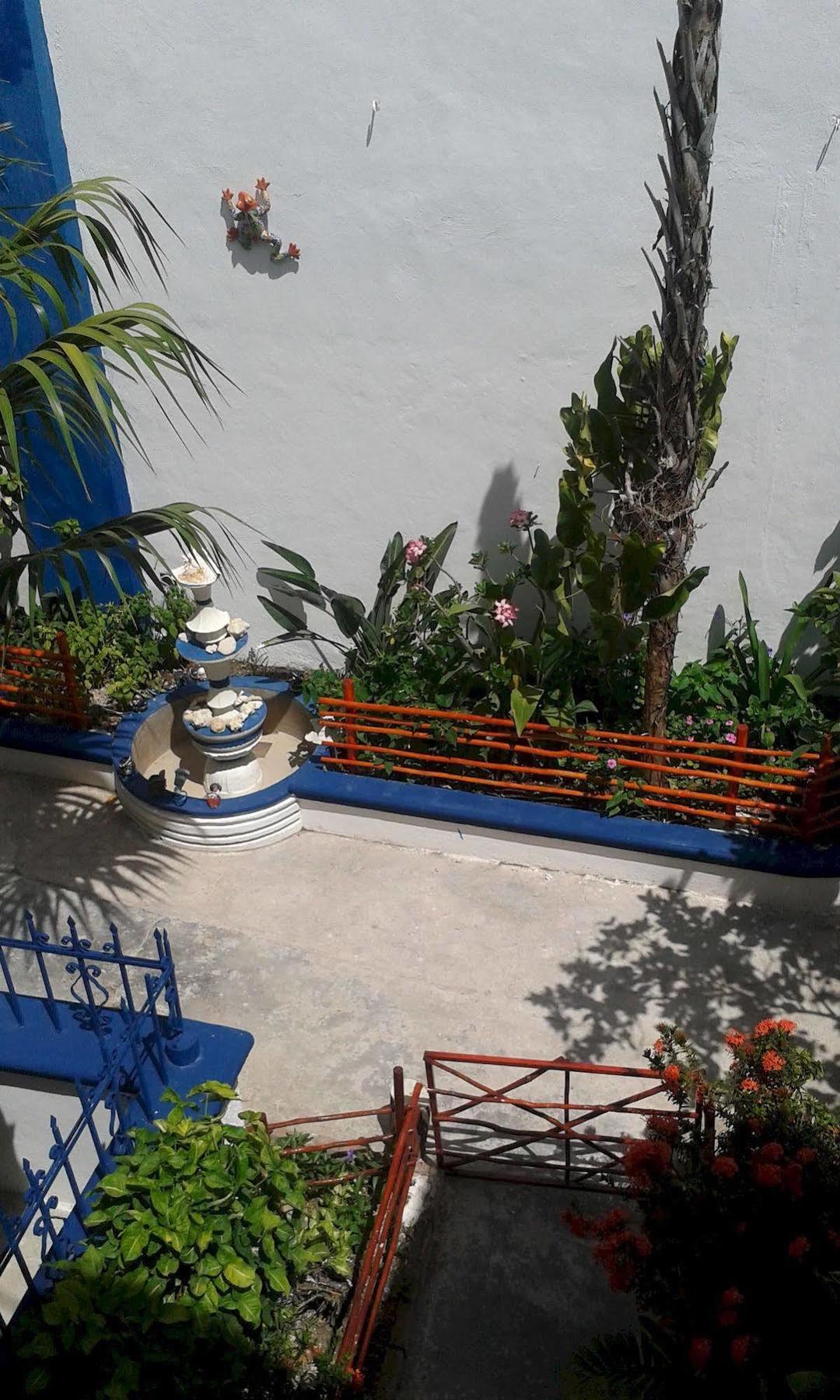 Alicia'S Bed & Breakfast Cozumel Extérieur photo
